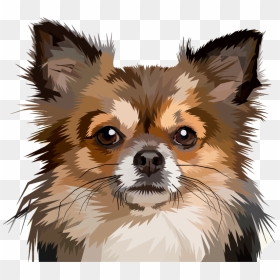 Chihuahua Puppy Pomeranian Pet Papillon Dog - Funny Memes Of Chihuahuas, HD Png Download - chihuahua png