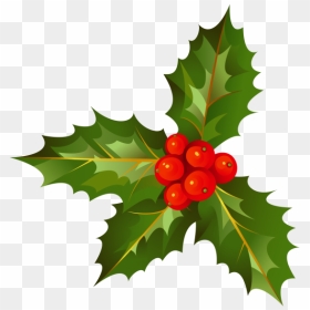 Transparent Holly Line Clipart - Christmas Decorations Cartoon Png, Png Download - christmas holly png