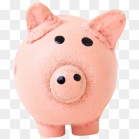Money Piggy Bank - Domestic Pig, HD Png Download - piggy bank png