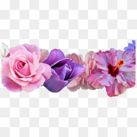 Daisy Flower Crown Tumblr Transparent Crazywidowinfo - Purple And Pink Flower Png, Png Download - pink crown png
