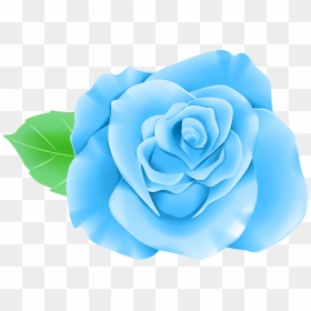 Transparent Blue Rose Clipart - Rose Transparent Background Rose Clipart Transparent, HD Png Download - blue rose png