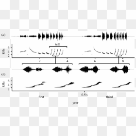 Diagram, HD Png Download - waveform png