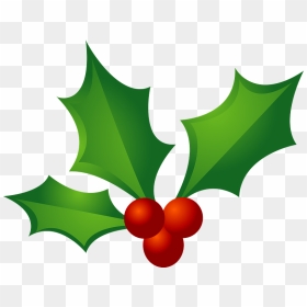 Christmas Holly Clipart - 12 月 植物 イラスト, HD Png Download - christmas holly png