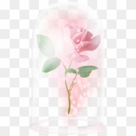Floating Rose Beauty And The Beast Rose Enchanted Rose - Garden Roses, HD Png Download - beauty and the beast rose png