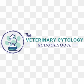 The Veterinary Cytology Schoolhouse - Graphics, HD Png Download - blood smear png
