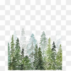 Watercolor Pine Tree Forest, HD Png Download - woods png