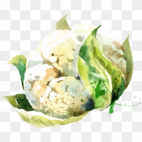 Paint Splatter Vector - Transparent Vegetable Watercolor Art, HD Png Download - watercolor paint splatter png