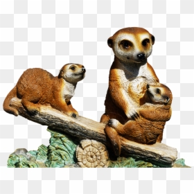Meerkat Png, Transparent Png - meerkat png