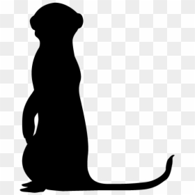 Meerkat Silhouette Png, Transparent Png - meerkat png