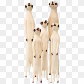 Meerkat, HD Png Download - meerkat png