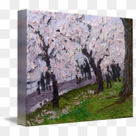 Canoe Birch, HD Png Download - cherry blossom emoji png