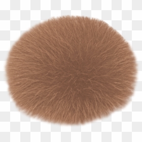 Fur Clothing, HD Png Download - meerkat png