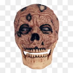 Zombie Head Png, Transparent Png - zombie head png
