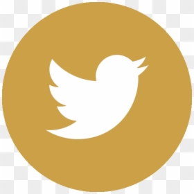 Twitter Logo Gold Transparent, HD Png Download - pink twitter png