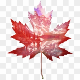 Maple Leaf Canada Art, HD Png Download - canada maple leaf png