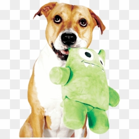 Dog Toy, HD Png Download - dog toys png