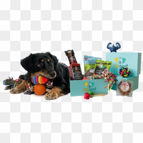 Hovawart, HD Png Download - dog toys png