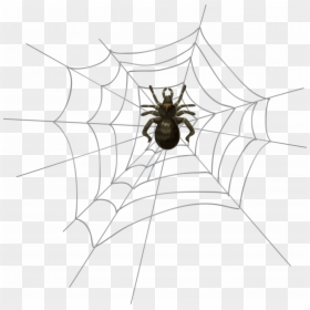Spider Net Clipart, HD Png Download - transparent spider png