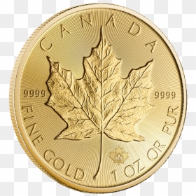 Canadian Silver Maple Leaf, HD Png Download - canada maple leaf png