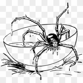 Realistic Spider Coloring Pages, HD Png Download - transparent spider png