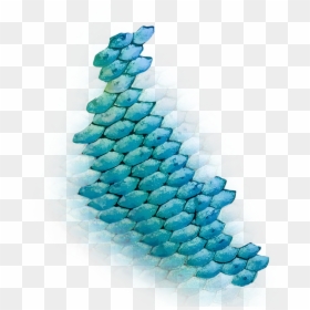 Mermaid Scales Transparent Background, HD Png Download - fish scales png