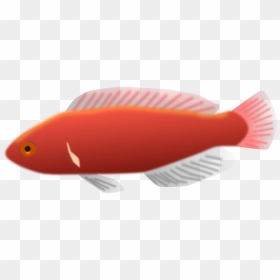 Long Fish Clip Art, HD Png Download - fish scales png