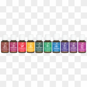 Young Living Essential Oils Business Card, HD Png Download - essential oils png