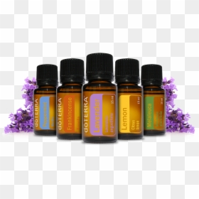 Essential Oil Doterra, HD Png Download - essential oils png