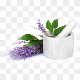 Aromatherapy Png, Transparent Png - essential oils png