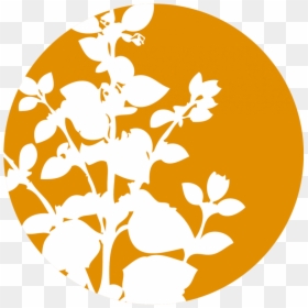Cinnamon Flower Icon, HD Png Download - essential oils png