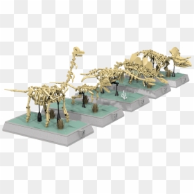 Lego Dinosaur Skeleton Sets, HD Png Download - dinosaur skull png
