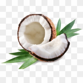 Coconut Png, Transparent Png - coconut drink png