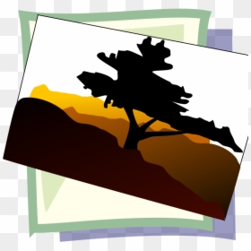 Bonsai Tree Clip Art, HD Png Download - anonymous.png