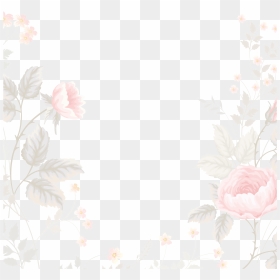Garden Roses, HD Png Download - quadrado png