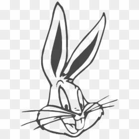 Cartoon Characters Bugs Bunny, HD Png Download - lola bunny png