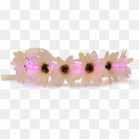 Rainbow Flower Crown Png - Flower Snapchat Crown Transparent, Png Download - pink crown png