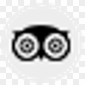 Transparent Google Plus Icon Transparent Png - Tripadvisor, Png Download - google plus icon png