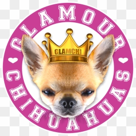 Transparent Chihuahua Png - Chihuahua, Png Download - chihuahua png