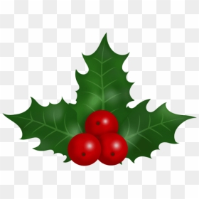 Christmas Holly Clip Art Image​