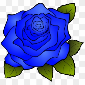 Red Rose Drawing, HD Png Download - blue rose png