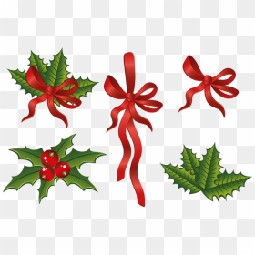❄️ Tube Png Noël, Houx, Rubans - Common Holly, Transparent Png - christmas holly png