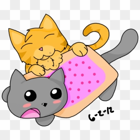 Nyan Cat Vs Semi Normal Cat - Cat, HD Png Download - nyan cat png