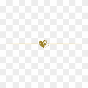 Divider Random Things Through Letterbox The Last Night - Illustration, HD Png Download - gold line png