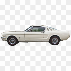 Mustang Png, Transparent Png - mustang png