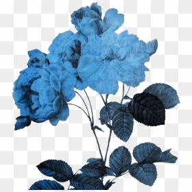 Flower Aesthetic Png Flowerart Art Alternative Freetoed - Transparent Blue Aesthetic Png, Png Download - blue rose png