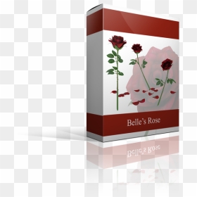 Portable Network Graphics, HD Png Download - beauty and the beast rose png