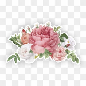 Garden Roses - Blooming Roses Png, Transparent Png - pink crown png