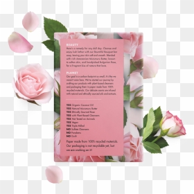 Love Beauty And Planet Murumuru Butter & Rose Body - Garden Roses, HD Png Download - beauty and the beast rose png