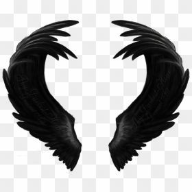 Black Wings , Png Download - Angel Black Wings Png, Transparent Png - black wings png