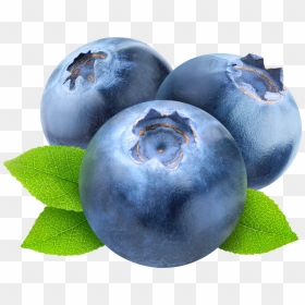Blueberries Hd Picture - Blueberry Clipart Transparent Background, HD Png Download - blueberries png